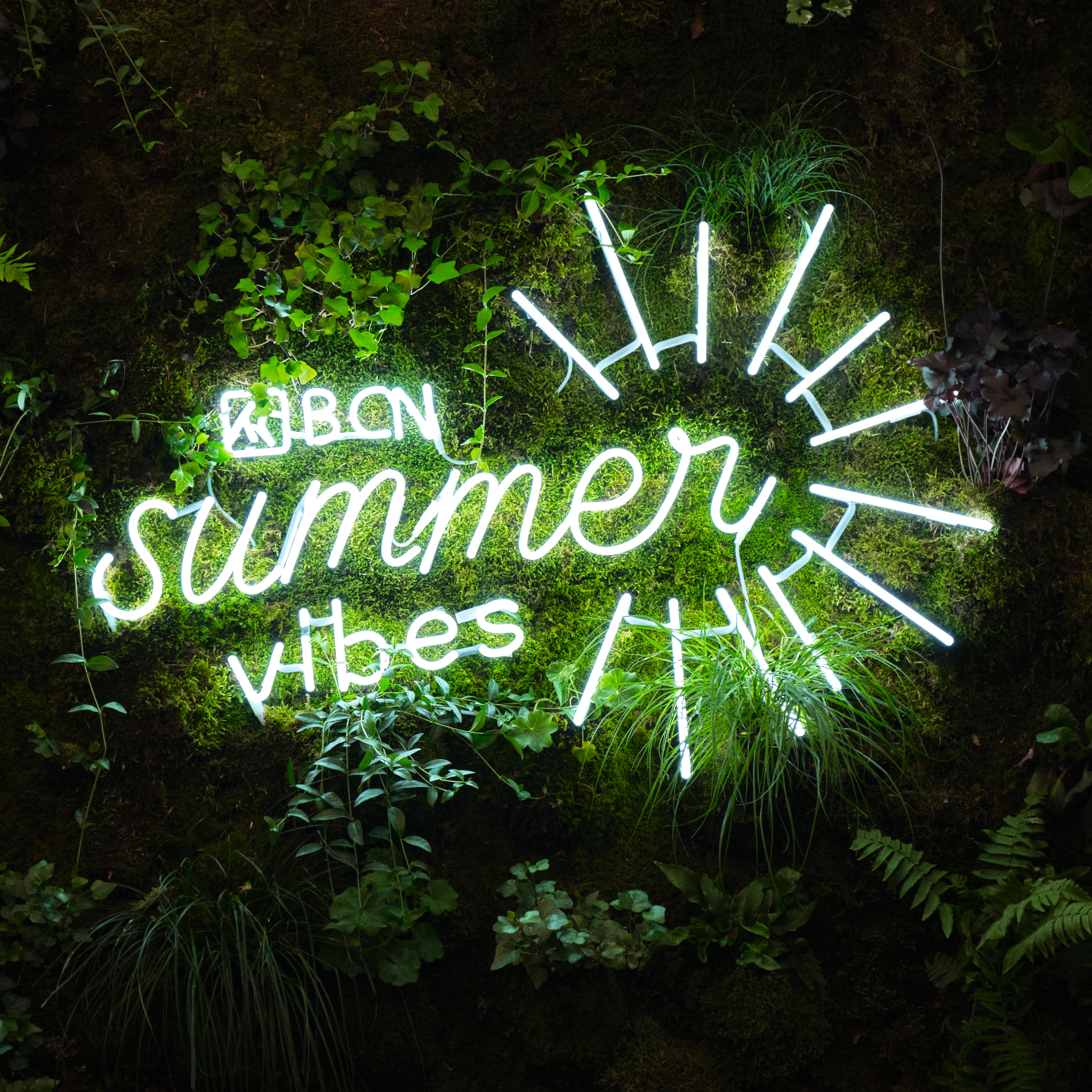 BCN Summer Vibes @ Festi'neuch