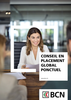 Vignette brochure Conseil en placement global ponctuel