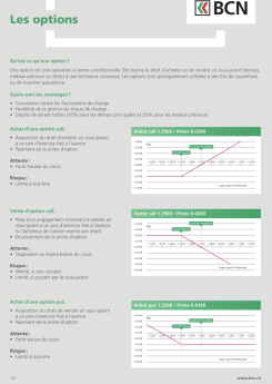Vignette brochure Options