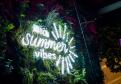 BCN Summer Vibes @ NIFFF
