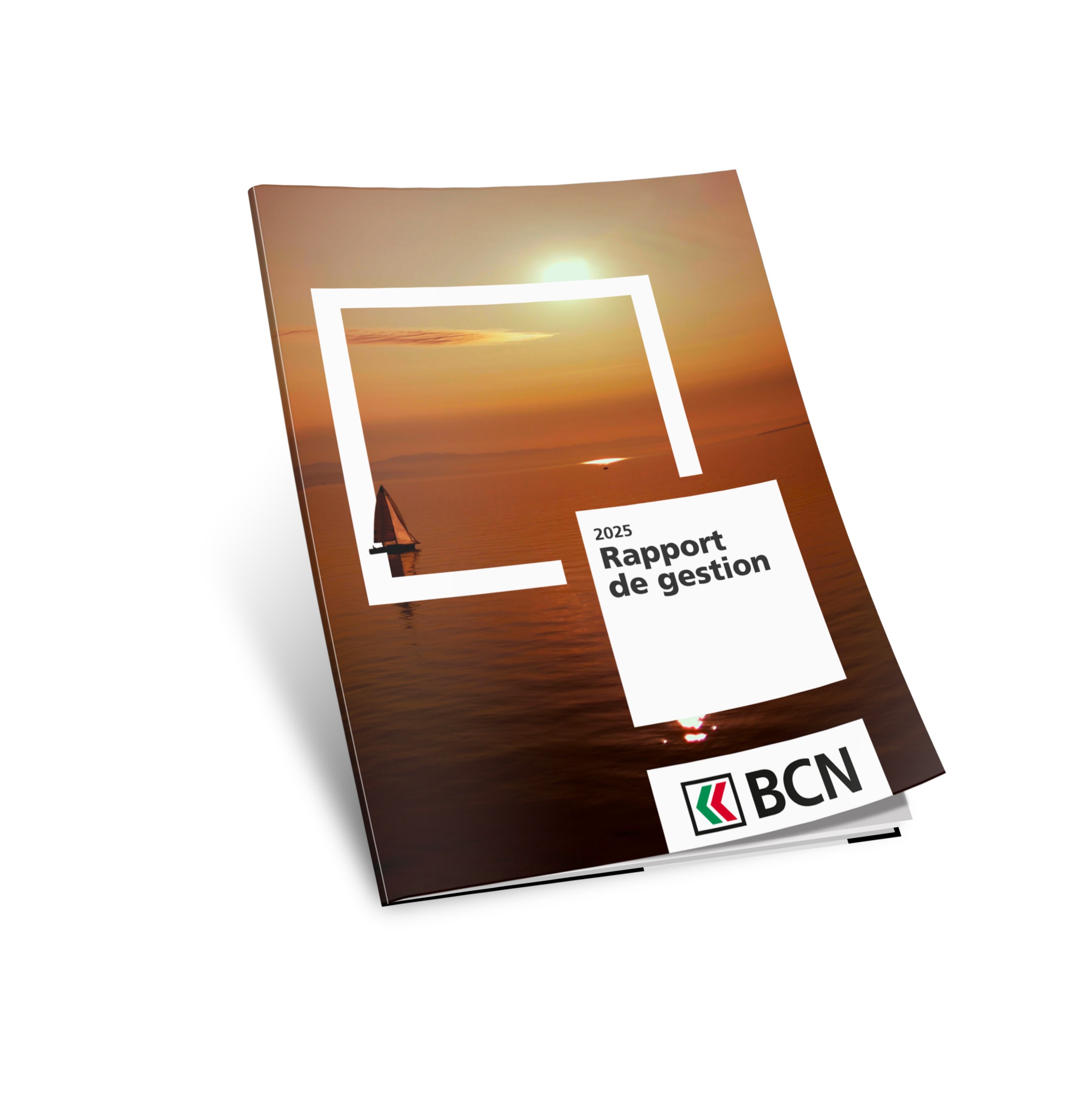 Rapport de gestion 2025